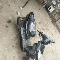 دراجة سكنس • فحل