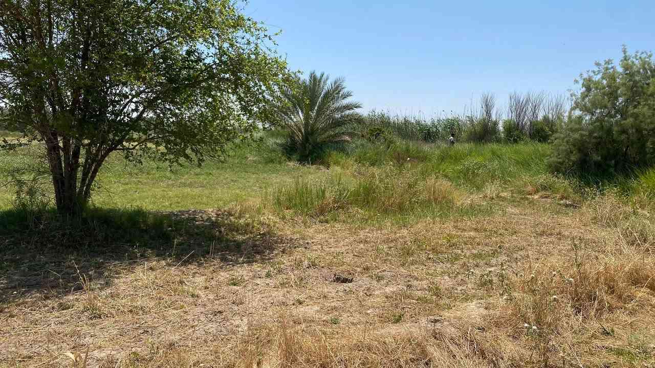 ارض زراعيه 9 دونم  طابو زراعي سند 25 باسم البائع .. منطقة الحصن ..سعر الدونم 35.تفاصيل اكثر الاتصال على الرقم ***********
