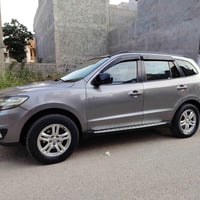 سنتافيا ٢٠١١ • صبغ ٦ قطع • دولي باسمي