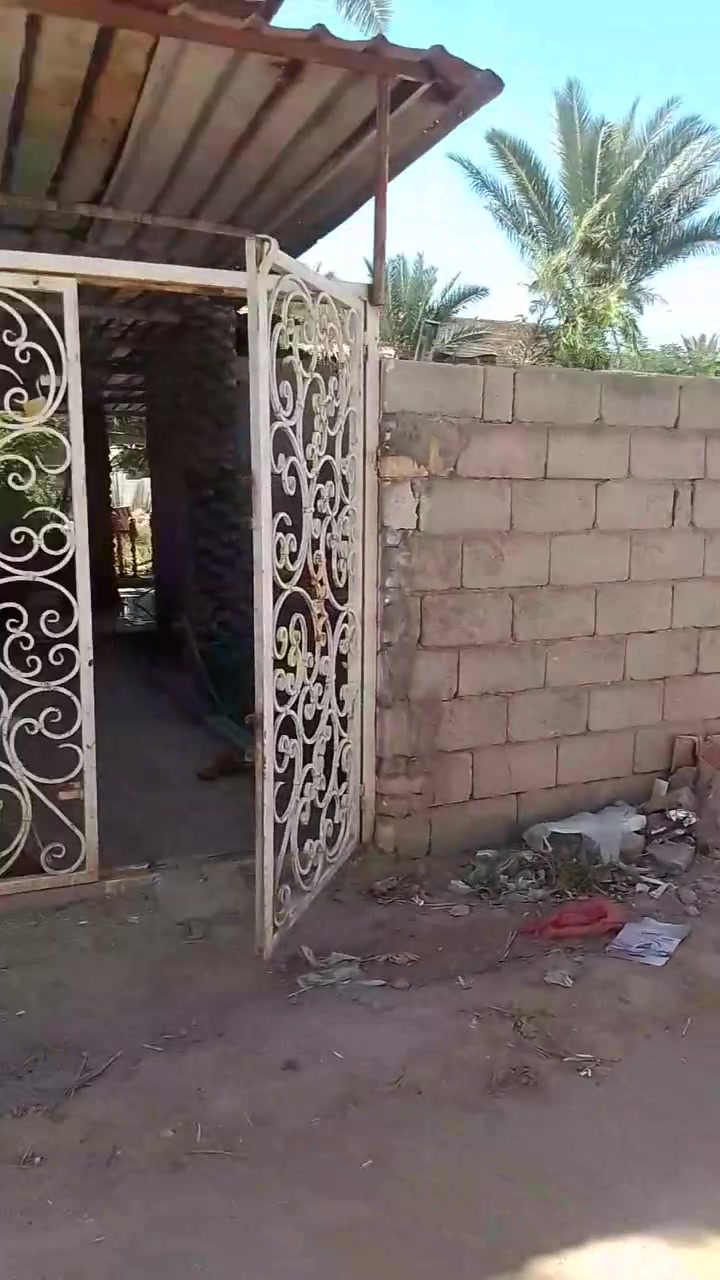 خلف جامعة العميد قريب على شارع النجف 
طابو زراعي سند 25
أرض مساحة 600متر واجهه 15متر ونص
نزال 39 
تحتوي على اشجار ونخيل
السعر 250 مليون 
***********

