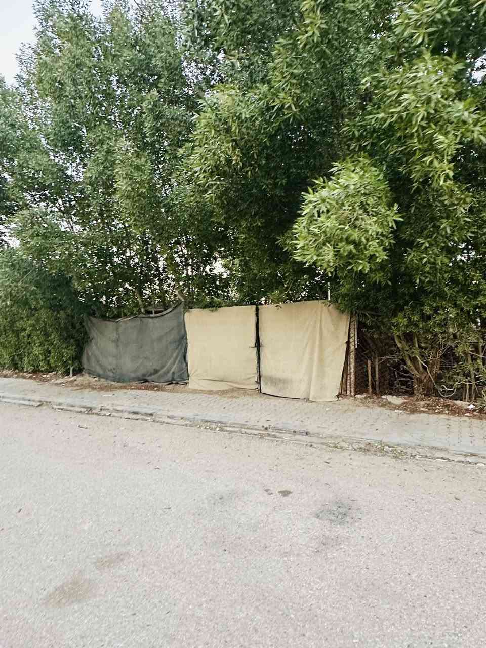 🏡 دار ركن للبيع – موقع مميز 🏡

📐 المساحة: 75 متر
📍 المنطقة: الـ 29
📌 ركن على ساحة وشارع 15 متر
🏗️ طابقين
🛏️ غرفتا نوم
خارطه مميزه كونكريت مسلح

✔️ موقع مفتوح ومميز
✔️ إضاءة وتهوية ممتازة
✔️ مناسب للسكن ومميز

📞 للاستفسار:
***********
📱 واتساب متوفر
او مراجعة مكتبنا حي السلام خلف مدينة الالعاب
