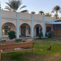 البو جامل • نص دونم • حديقة مثمرة