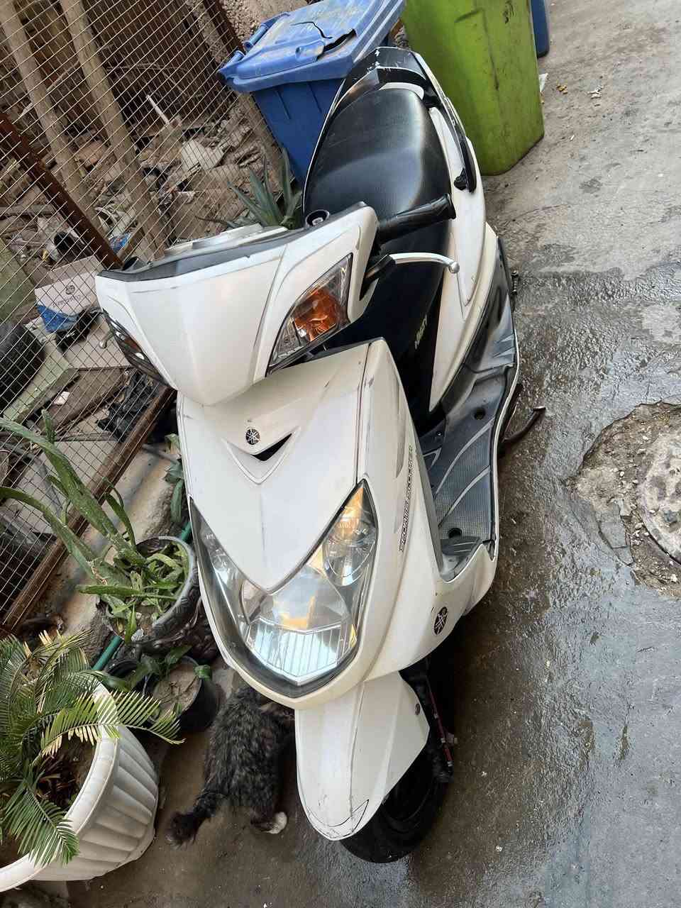 السلام عليكم سكنس فحل ام الشرايط رمبه رمبه قبل ٣ اشهر نازله
كفاله عامه  مابيه ولا اي نقص
مكينه خرسه ممفتوحه  وشلعه ومعدل
الكفرات كله ختم واحد  من طول لطول 
كهربائيات كامله مابيه اي نقص
مال جناي 
مكاني بغداد الاعظميه
 اتصال فقط***********
