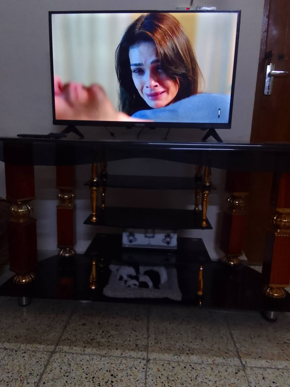 بيع مستعجل ميز بلول مال شاشه
فقط
 ب٢٥
شاشه حجم ٣٢
بيها انترنت ويوتيوب اسمارت 
بسعر ١٠٠الف


**إذا كنت صاحب هذا الإعلان وتريد حذفه لأي سبب، رجاءا أرسل رسالة إلى الدعم الفني**