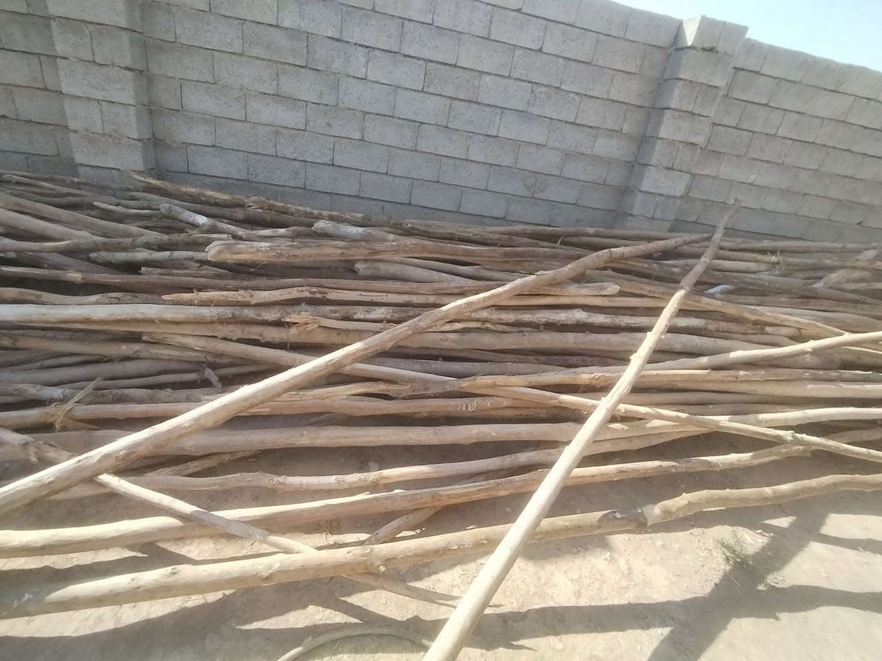 بياض باريات و جنكو مضلع مال شركه
الي يردهن يتصل *********** مكاني مندلي
