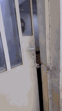 دار للبيع ١٢٠متر تجاوز
🔻
*********** حي العروبة
