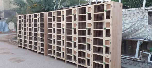 يا الله سلام عليكم من رخصة صاحب الكروب المحترم الأعضاء المحترمين تم اليوم الحمد لله إنجاز خانات الأخ المحترم ولخلوق مصطفى التميمي ربي يبارك بي وبحلاله
مستعدون لعمل وتجهيز كافة انواع الخانات والاقفاص والواجهيات والكشوانيات والمعالف وجميع انواع بيوت طيور الزينة حسب الطلب العنوان النجف حي الجزيره الطلب واتساب***********  قياسات الخانه المعروضه با الصوره  الطول 2.15 واجها 70 نزال 50  ارتفاع 50
