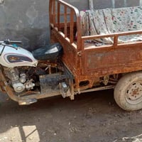 ستوته • ٢٠١٣ • أوراق تعبانه