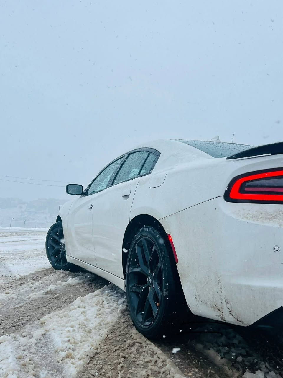 جارجر النداء الاخير  

موديل 2023

Sxt  بلاك توب بلاك ادشن 

 شاشة جبيرة 

حساسات 

نظام سستم صوت الباين 

اني مستوردها  بشهر العاشر دخلت 

حادث بسيط مكفوله من التبديل والفتح . 

تصليح درجة اولى 

لايت اصلي ودعامية اصليه وجميع الملحقات  اصليه  

صبغ شبر بلجاملغ بدون معجون كارت وشبر خشم البونيد. مبين بصور الحادث 
رقم اربيل بسمي
عنوان موصل


**إذا كنت صاحب هذا الإعلان وتريد حذفه لأي سبب، رجاءا أرسل رسالة إلى الدعم الفني**