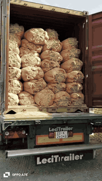 الهم صل على محمد وال محمد
توفر التبن مال الشمال الحجم الكبير سعر الشليف 7 الاف   شرط النضافه والنعومه  حجم الجيس 90  عرض وطوله متر وربع  وموجوده نخاله درجه اوله  سعرها ب450    اسعارنه جوه السوك  وهاذا رقمي ***********
