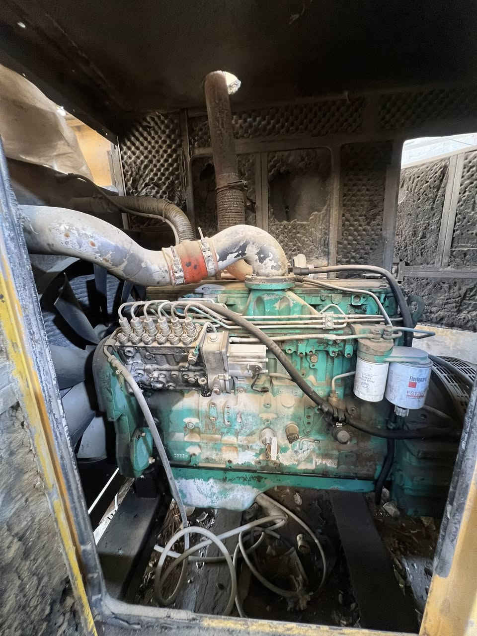 كمنز 24 راس توليد شغال المولد شغاله بس ابيع كايمه السعر 40 مكاني بغداد الامين ***********
