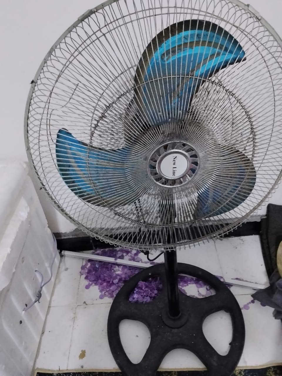 غراض بيت
فقاسة بيض كاملة 75
 كرسي 10
بنكة كهربائية 40
مسجل الكبير 25
مسجل تكتك الصغير 25
قفص الكبير 10
قفص صغير 10
تاير تكتك 20
رقمي ***********
عنواني البصرة الجزيرة
