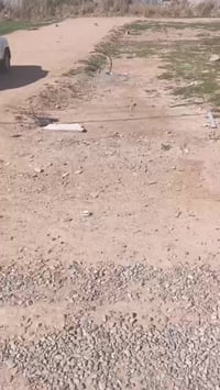 زراعي • سند٢٥ • شارع١٠م