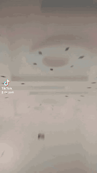 شغل لبخ فقط جص سمن ابيضاض شغل مشروط متوجد فقط في النجف الاشرف  وهذا رقمي *********** سجاد لباخ
