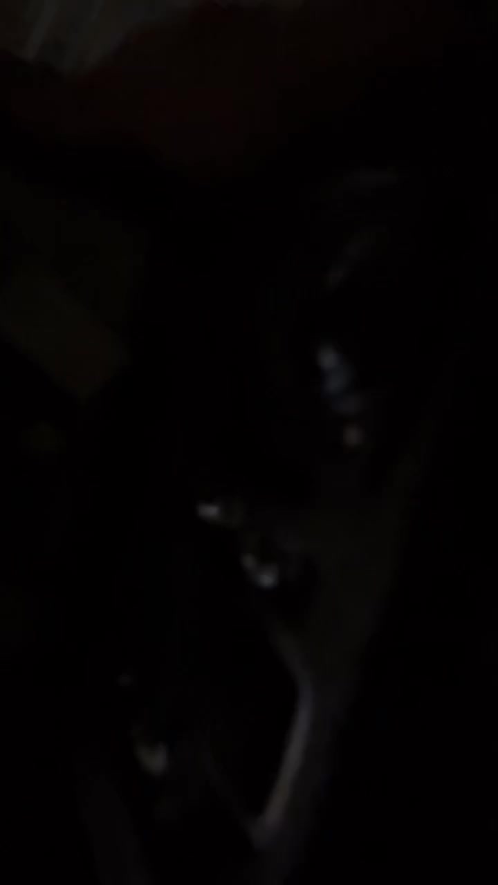 سلام عليكم شباب عدي هذا درون قيم واخذ كلشي ماعرف بيهن بس هوا شغال مكاني بغداد


**إذا كنت صاحب هذا الإعلان وتريد حذفه لأي سبب، رجاءا أرسل رسالة إلى الدعم الفني**