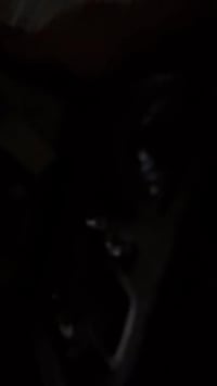 درون • شغال • بغداد