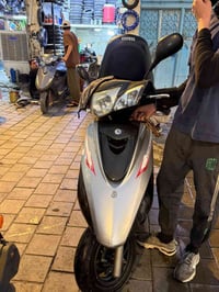 بغبغاء • جديده • للبيع