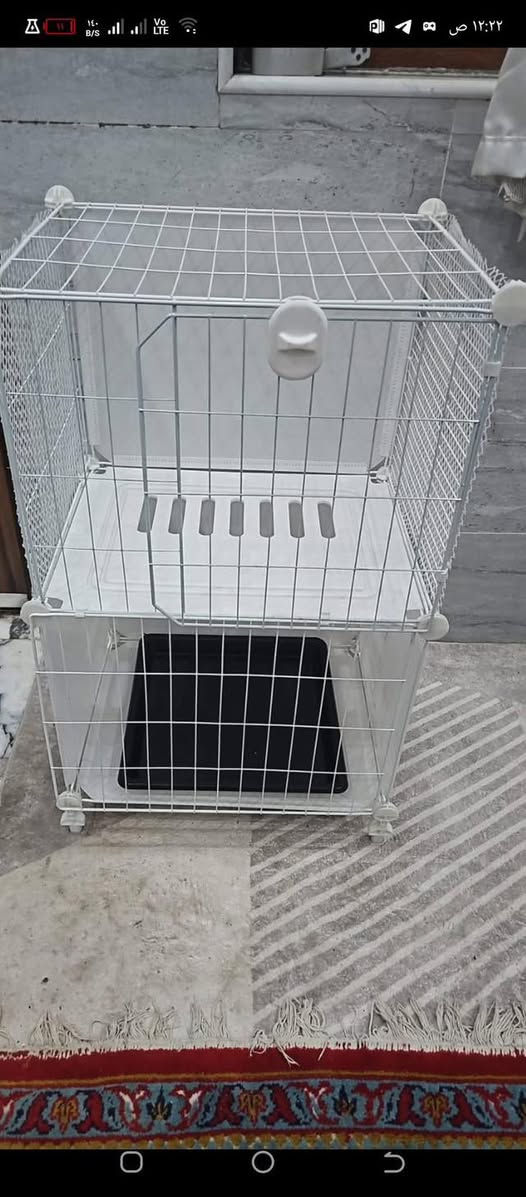 السلام وعليكم قفص مال حيوانات فقط  تايرات مابي اعلى سعر ابيع


**إذا كنت صاحب هذا الإعلان وتريد حذفه لأي سبب، رجاءا أرسل رسالة إلى الدعم الفني**