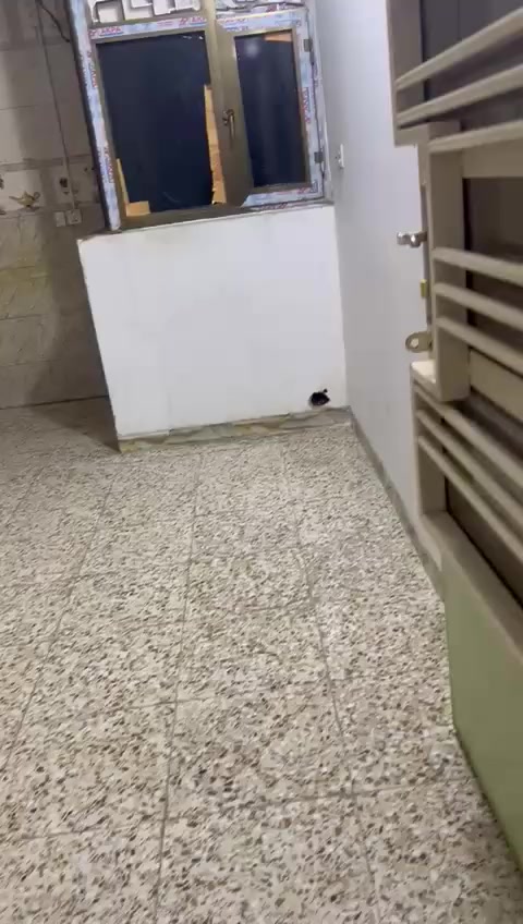 مقابيل نادي العربي ايجاره 300
***********
