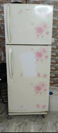 شغاله • تجميد فول • ٢٤ قدم