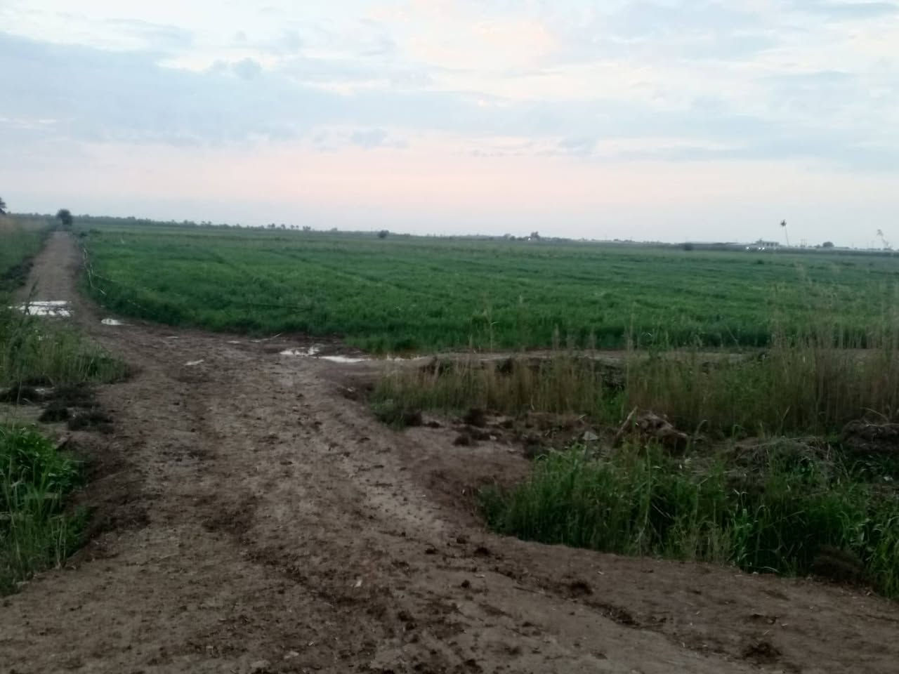 السلام عليكم عروض
يوجد شاطيات على ضفاف نهر دجله متوفر فيها خدمات دوانم
يوجد دوانم زراعي تجارية وسكنيه
من واحد دونم إلى ١٠٠٠ دونم الأسعار من ٥ مليون فما فوق
بساتين من دونم فما فوق سكنيه وسياحة
كافه الخدمات ماء وكهرباء وماء سقي
يوجد بستان نسيجي أرقى انواع التمور
ويوجد قطعه استثمار الاتصال على الرقم *********** والله ولي التوفيق
