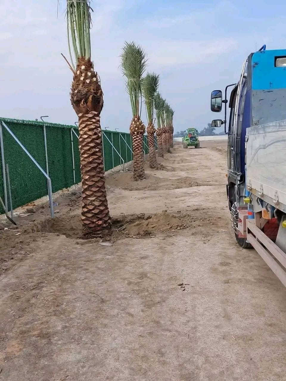 اسلام عليكم يوجد نخيل امايه بل الطينه من متر ونص الى اربعه متر


**إذا كنت صاحب هذا الإعلان وتريد حذفه لأي سبب، رجاءا أرسل رسالة إلى الدعم الفني**