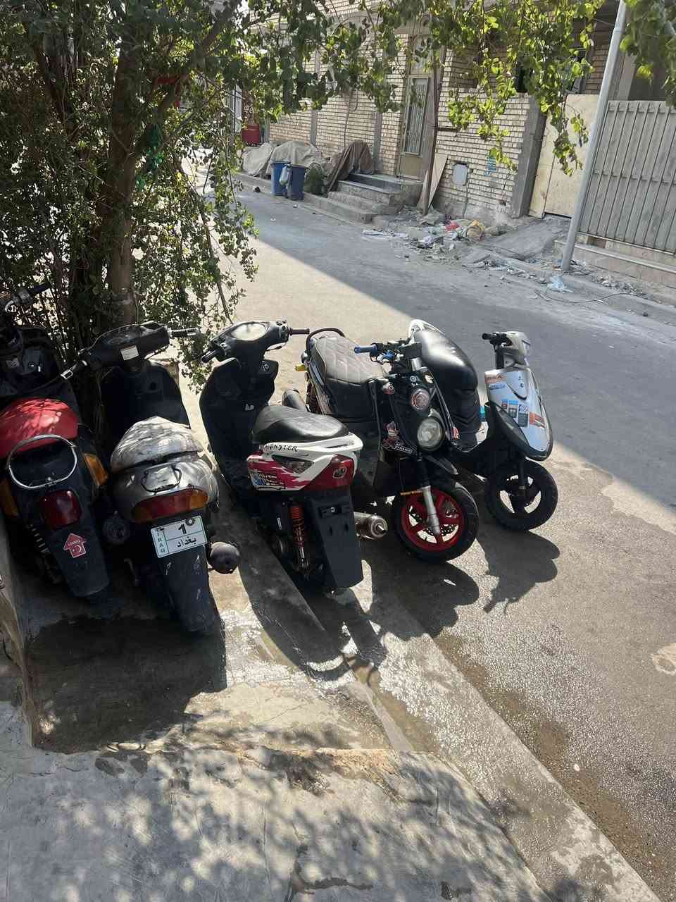 للبيع درجات حلوة نضيافت  بلاديات سعار خاص مكاني بغداد جديدة سريع محمد القاسم ***********
