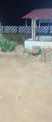 أرض زراعي • واسط دجيلي • ٤ دونم