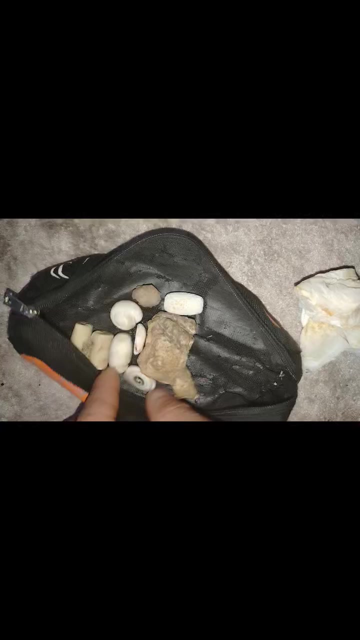 وينه اليدور عطف مشروط وذمه.    كربلاء حي الوفاء ***********
