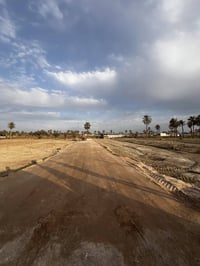 شط العرب بالجزيرة • ١٠٠م • واجهة ٨ونص