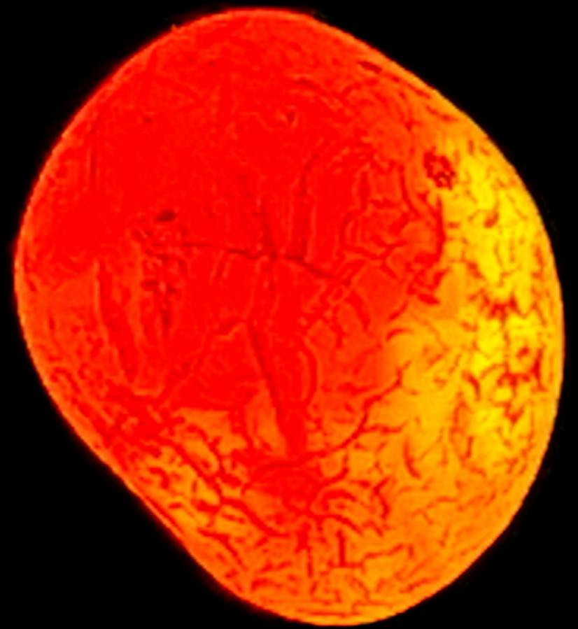 الي يرغب يراسلني خاص


**إذا كنت صاحب هذا الإعلان وتريد حذفه لأي سبب، رجاءا أرسل رسالة إلى الدعم الفني**