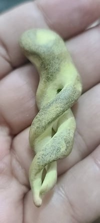 سبحان الخالق المصور عطف صحراوي طاقه و روحانيه ١٠٠% سعره مليون دينار  ت...