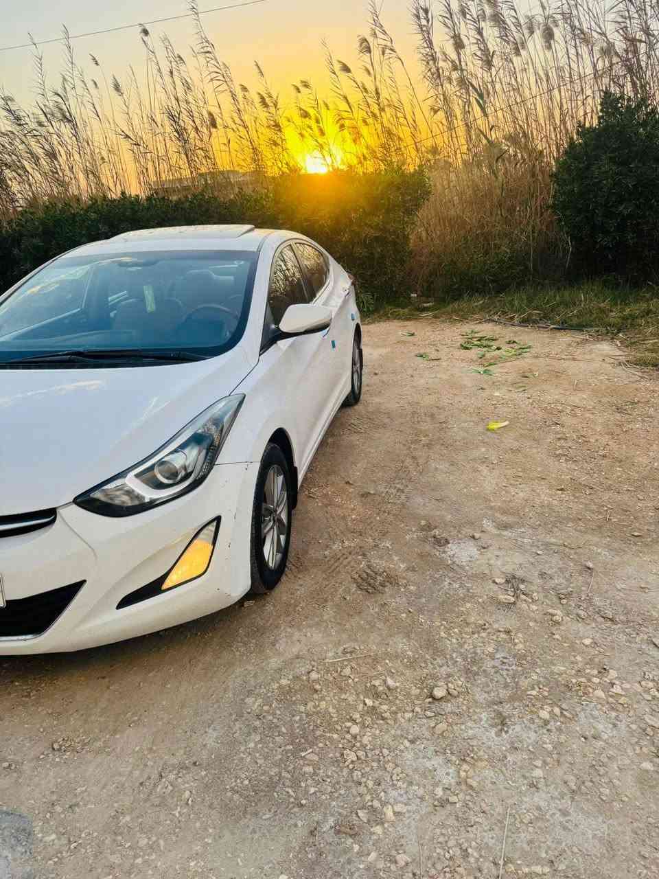 السلام عليكم النترا للبيع خليجي٢٠١٥شكل١٦بغداد بسمي مكفولة كفالة عامة حتة دعاميات ماشية 95الف مكينة 1800 المرغوب تبريد قطعتين صاج فتحة فول عدة البصمة ارقام وسنوية جدد ل2030 السيارة موجودة بابل مشروع المسيب
رحمة والديكم المو شراي لايتعبني ويخابرني رقم الهاتف ***********
