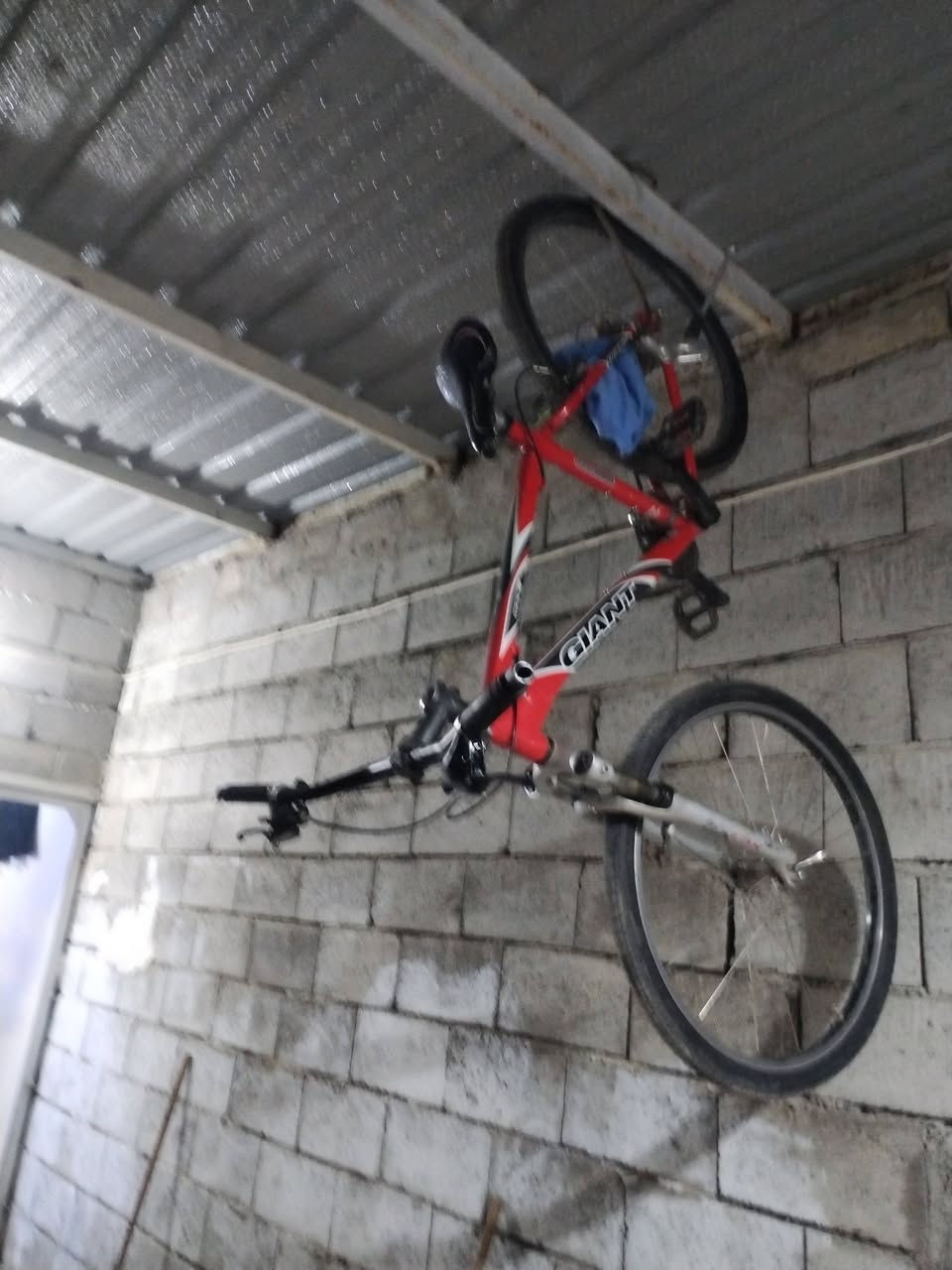 حجم 26 للبيع ادفع سعر


**إذا كنت صاحب هذا الإعلان وتريد حذفه لأي سبب، رجاءا أرسل رسالة إلى الدعم الفني**