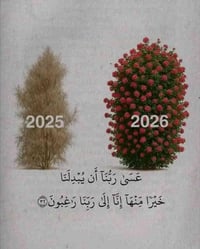 عاملات تنظيف بأسعار مناسبة 07823721894 واتساب ❤️