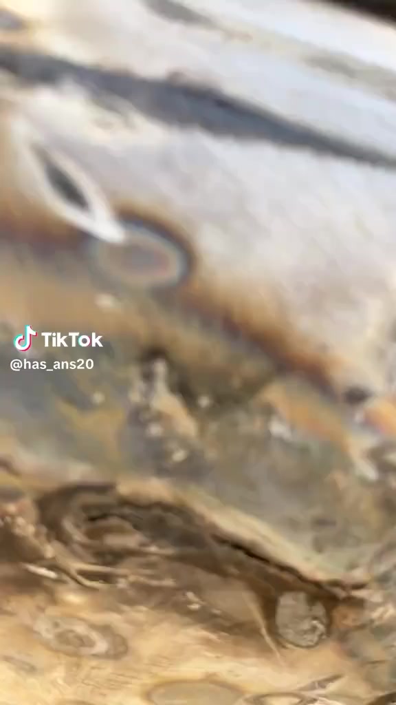 سمكرة أبو مصطفى ***********
