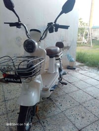 دراجة شحن • جديدة • الكوت مجلس المحافظة