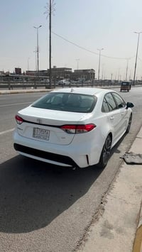 كورلا • ٢٠٢٠ • رقم كربلاء