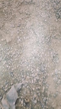 حسينية • قيد الإنشاء • الشطرة