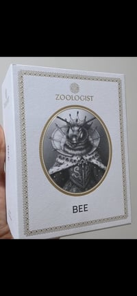 جديد • مستحضرات تجميل