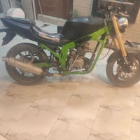 قوية • أخضر وأسود • صيانة دورية