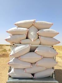 تبن • جديد • السكران الغربي