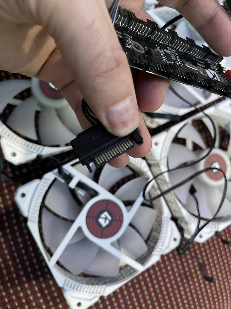 سلام عليكم فانات 9فان اب ٣٨ الف قفل


**إذا كنت صاحب هذا الإعلان وتريد حذفه لأي سبب، رجاءا أرسل رسالة إلى الدعم الفني**