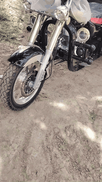 اسلام عليكم.  وعليكم اسلام
ستوته للبيع 
ستوته وكيل طلعته من ابن جبرين بزياره 
ستوته اوراق كامله 
اداورلك من الوكيل كبل 
ستوته من زياره لسا واكفه ماطالع بيه 
*********** موجود خاص  سعر خاص 
ستوته كلشي مامبدل بيه وكيل
