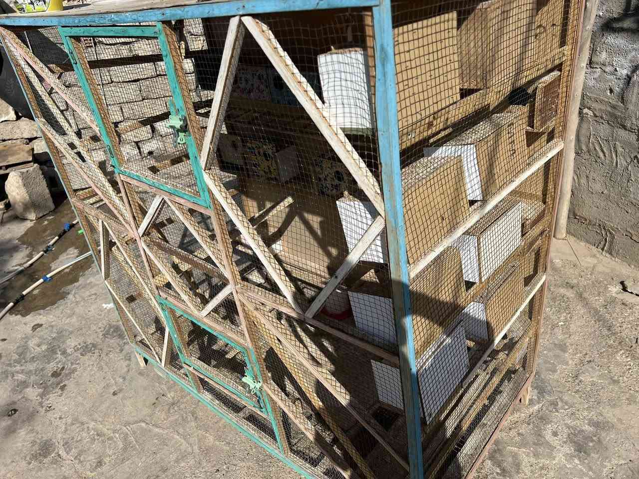 السلام عليكم قفص للبيع حيل حلو  بيا24 بيت وبيا  سله تنسحب من جوه مال تنضيف سعر45الف وبيا مجال مال مستعجل الشراي يتصل ***********
