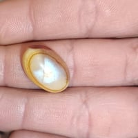 حجراسلماني قديم لشراي يدخل واتساب 07878508560