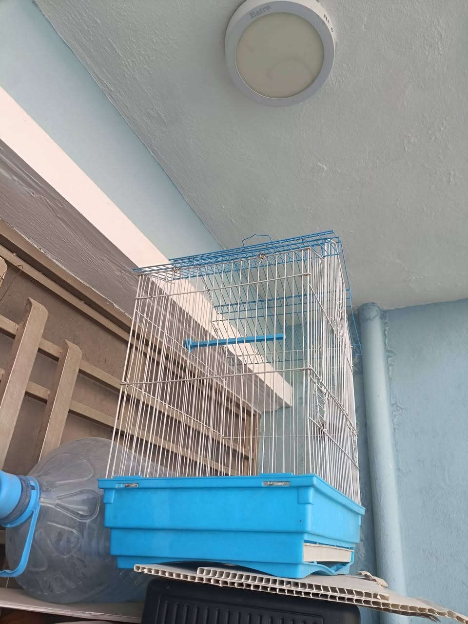 قفصين ب15الف مكاني أبو دشير شارع الزيتون هذه رقمي ***********
