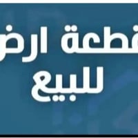 توزيع الشهداء • الصوب الكبير • ٢٥٠م