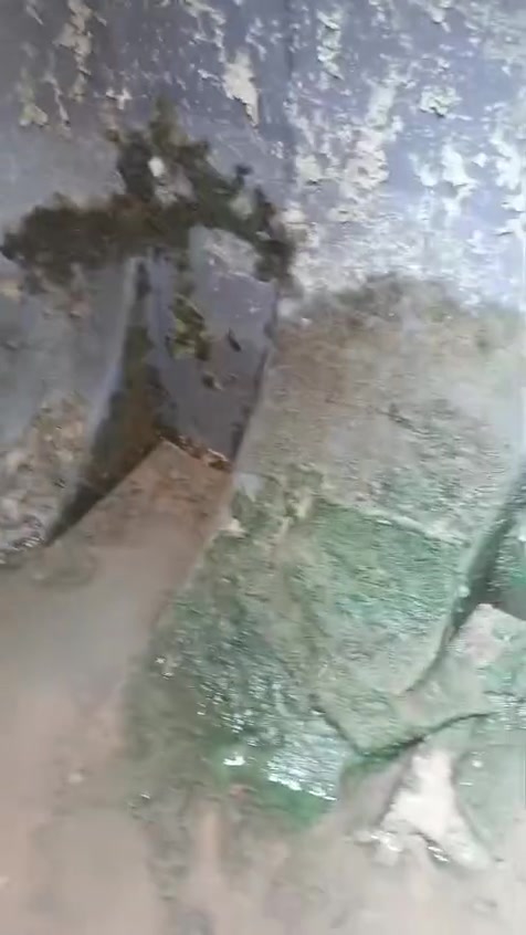 🚨 هل تعلم أن تانكي الماء قد يحتوي على رواسب وطحالب لا تراها بعينك؟

لا تنتظر حتى تتغير رائحة أو لون الماء.

💦 نوفر خدمة غسل وتعقيم تانكيات المياه باحترافية، لنضمن لك ماءً أنظف لعائلتك.

💰 السعر: 15,000 دينار فقط

📞 للحجز:
***********

نصل إليكم أينما كنتم.
