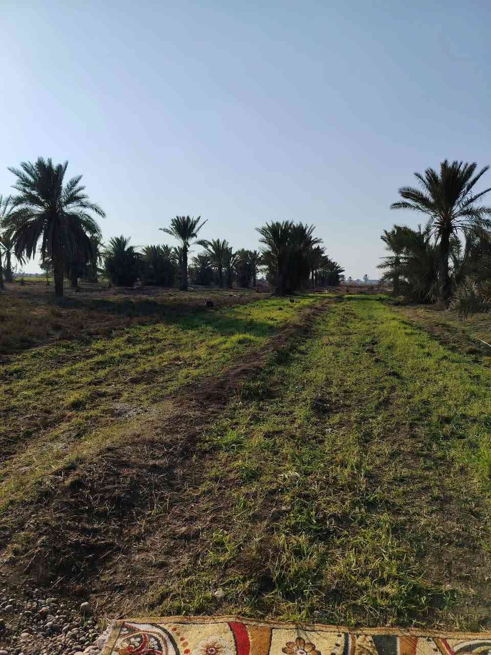 دونم واحد طابو زراعي سند 25 للبيع
***********

واصلها خط ماء اساله وكهرباء وبيها بير ماء حلو
مجاور مدرسه ابتدائي ومتوسطه 
سعر الدونم 50 مليون
تحويل مباشر
بغداد طريق ذراع دجله منطقة الطجاج والمصالحة مجاور سبع البور
التحويل على طابو ابو غريب 

اللوكيشن 
https://maps.app.goo.gl/kEVziCQ53ZMumDvP9

====================
كاع ثانيه بنفس المنطقه \ المصالحة والطجاج
دونم واحد طابو
واصله كهرباء و على شارع رئيسي مقابيلها خط اروائي
سعر الدونم 30 مليون

اللوكيشن
https://maps.app.goo.gl/9B8RiJs47wXtFXFA7
